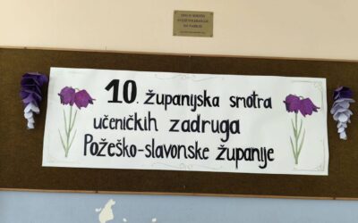 10. županijska smotra učeničkih zadruga
