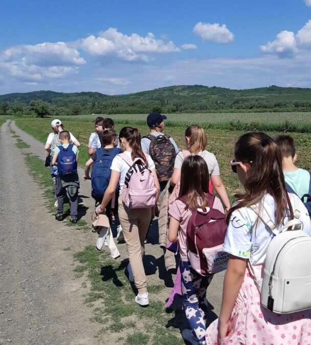 Dan kretanja na područnim školama