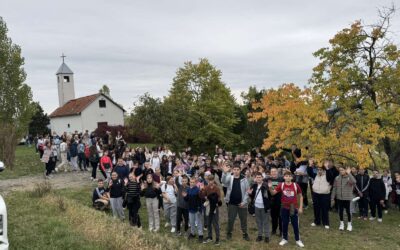 Međunarodni dan pješačenja