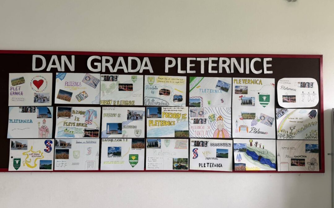 Dan grada Pleternice