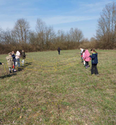 Prebrojavanje kockavice